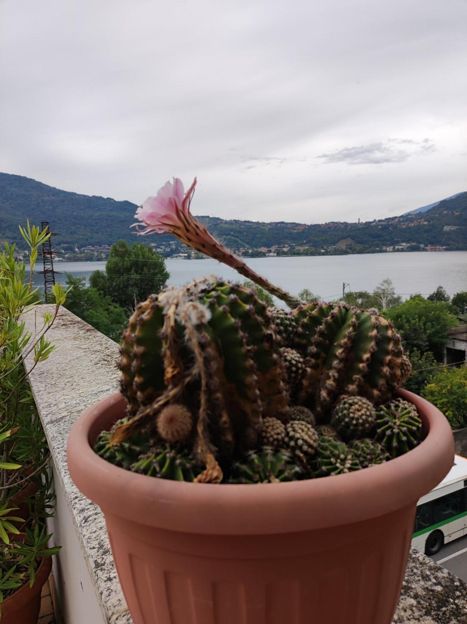 Terrazzo Sul Lago Lecco Exterior foto
